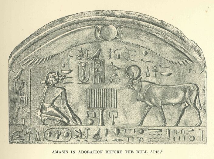 113.jpg Amasis in Adoration Before the Bull Apis 
