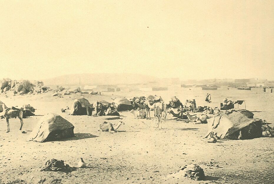 148b.jpg Encampment de Bacharis 
